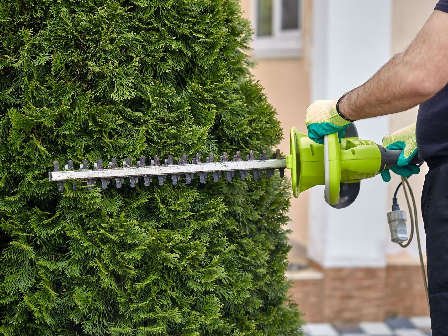 Un homme coupe un buisson avec un taille-haie.