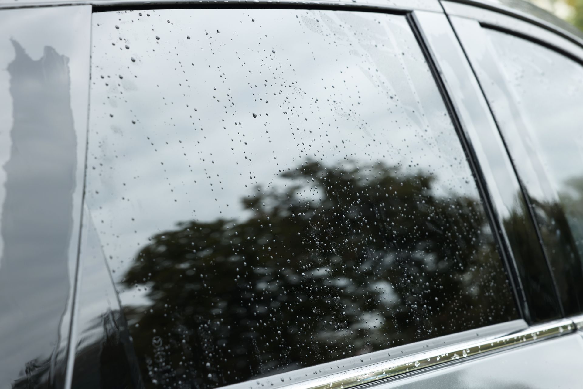 La vitre d'une voiture, mouchetée de pluie, reflète les arbres et le ciel nuageux.