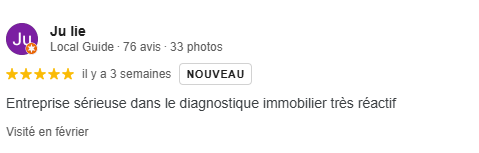 Avis client google février 2025