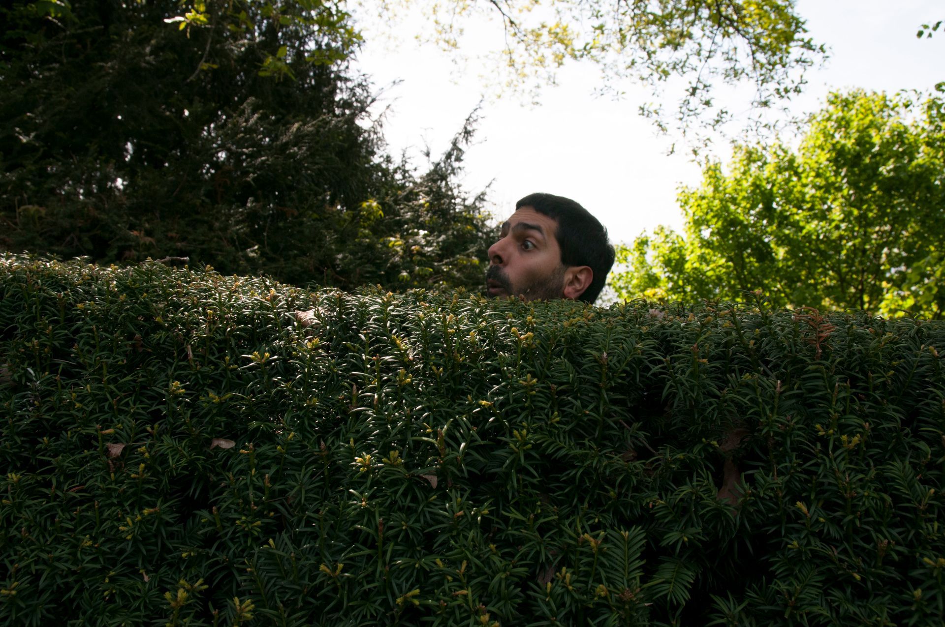 Der Diener zweier Herren