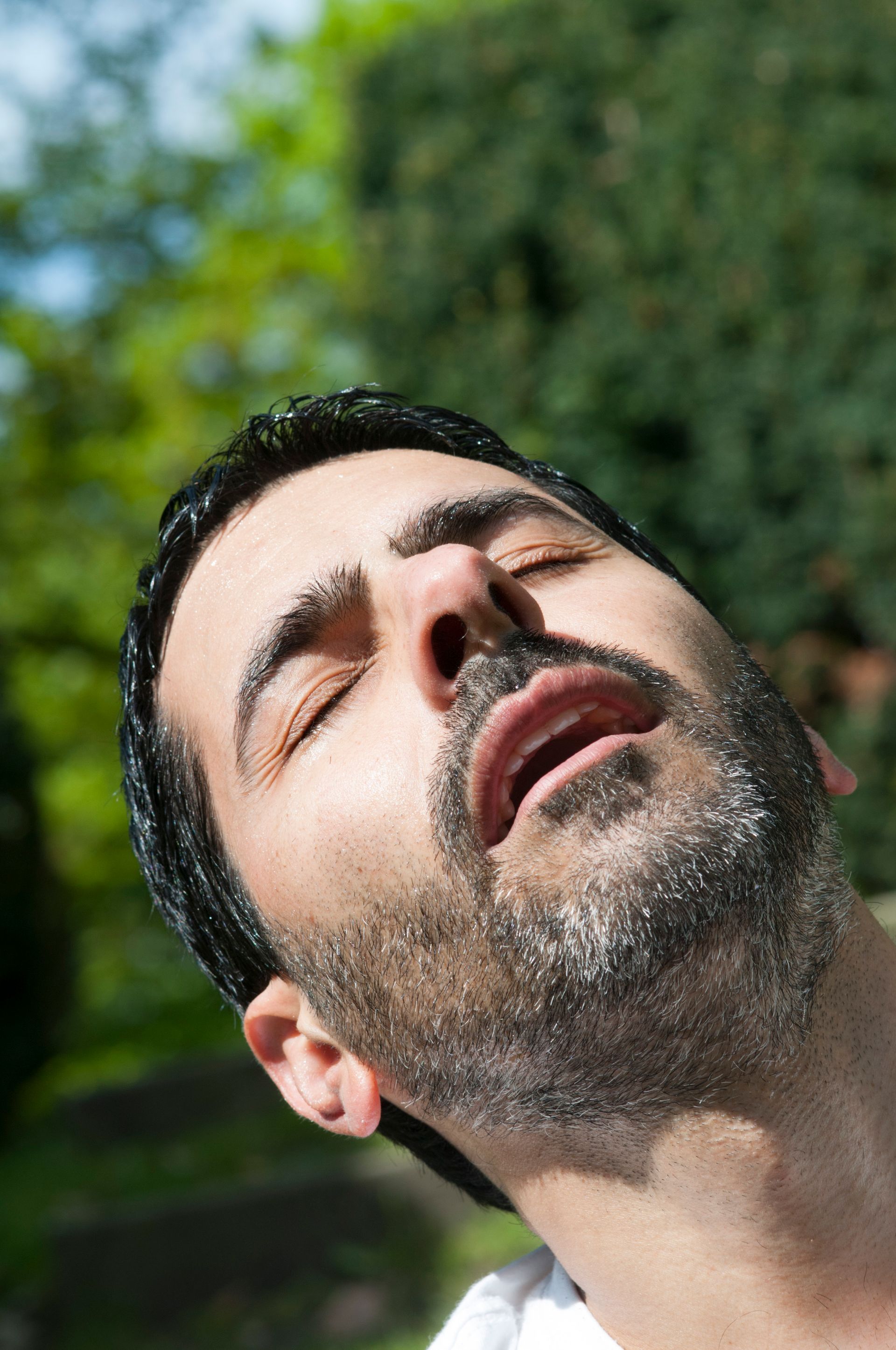 Der Diener zweier Herren