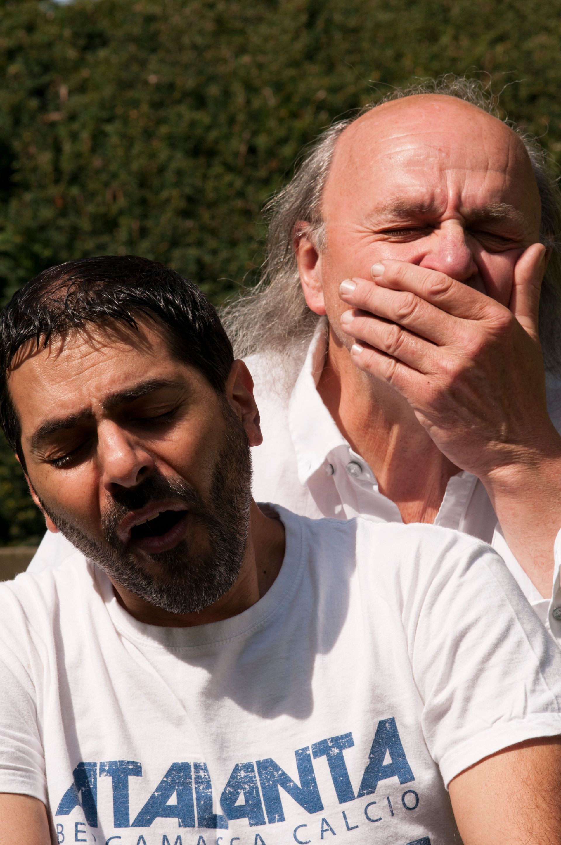 Der Diener zweier Herren