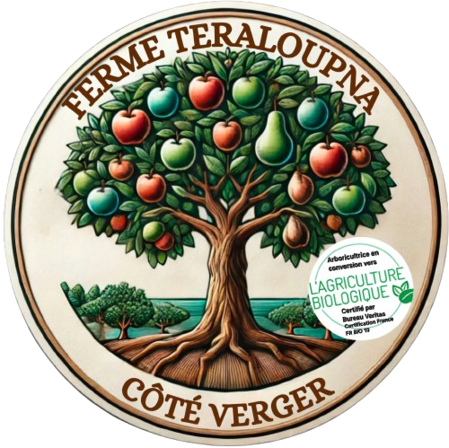 Logo de l'entreprise TERALOUPNA COTE VERGER