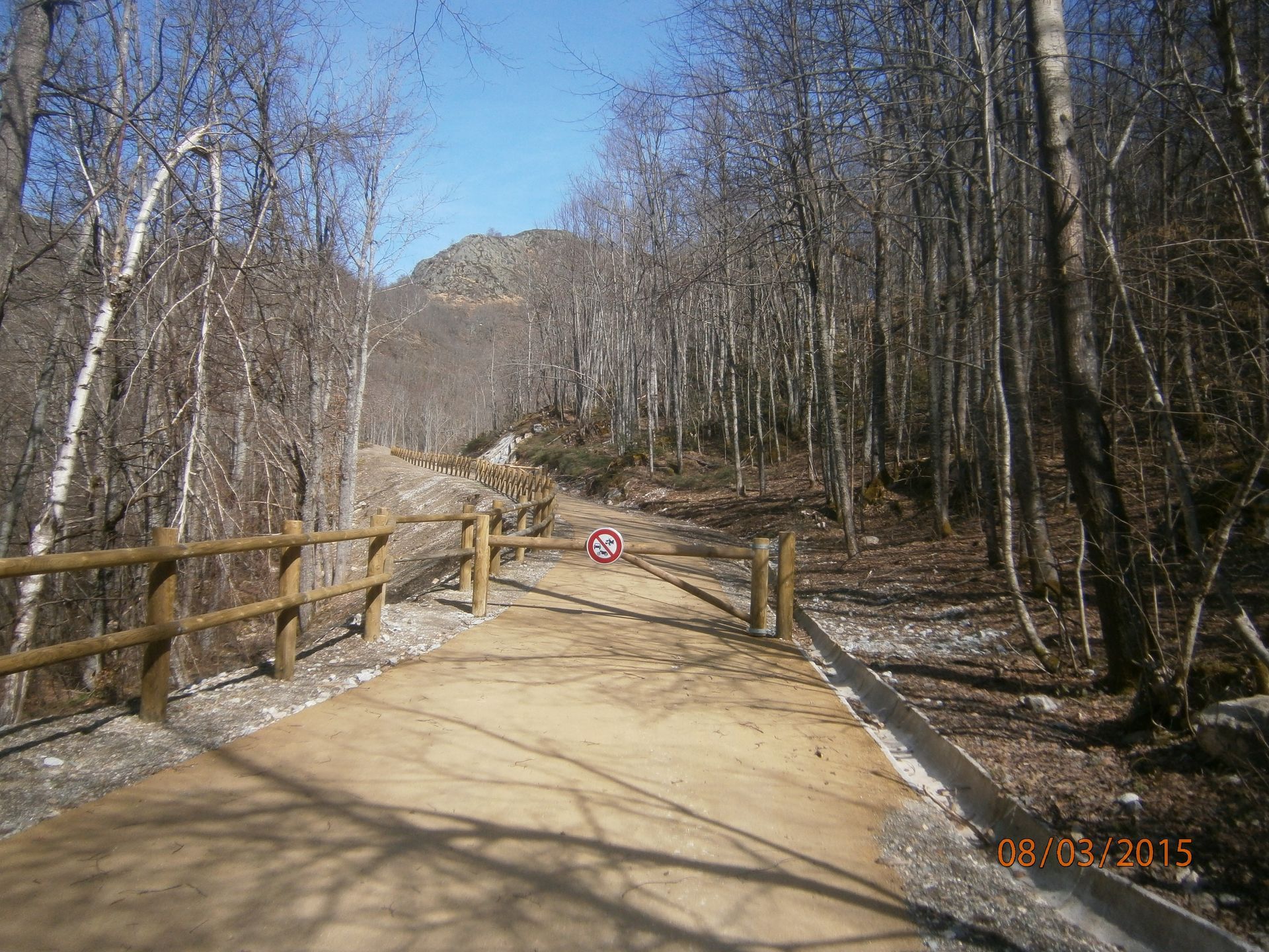 Clôture en bois en forêt