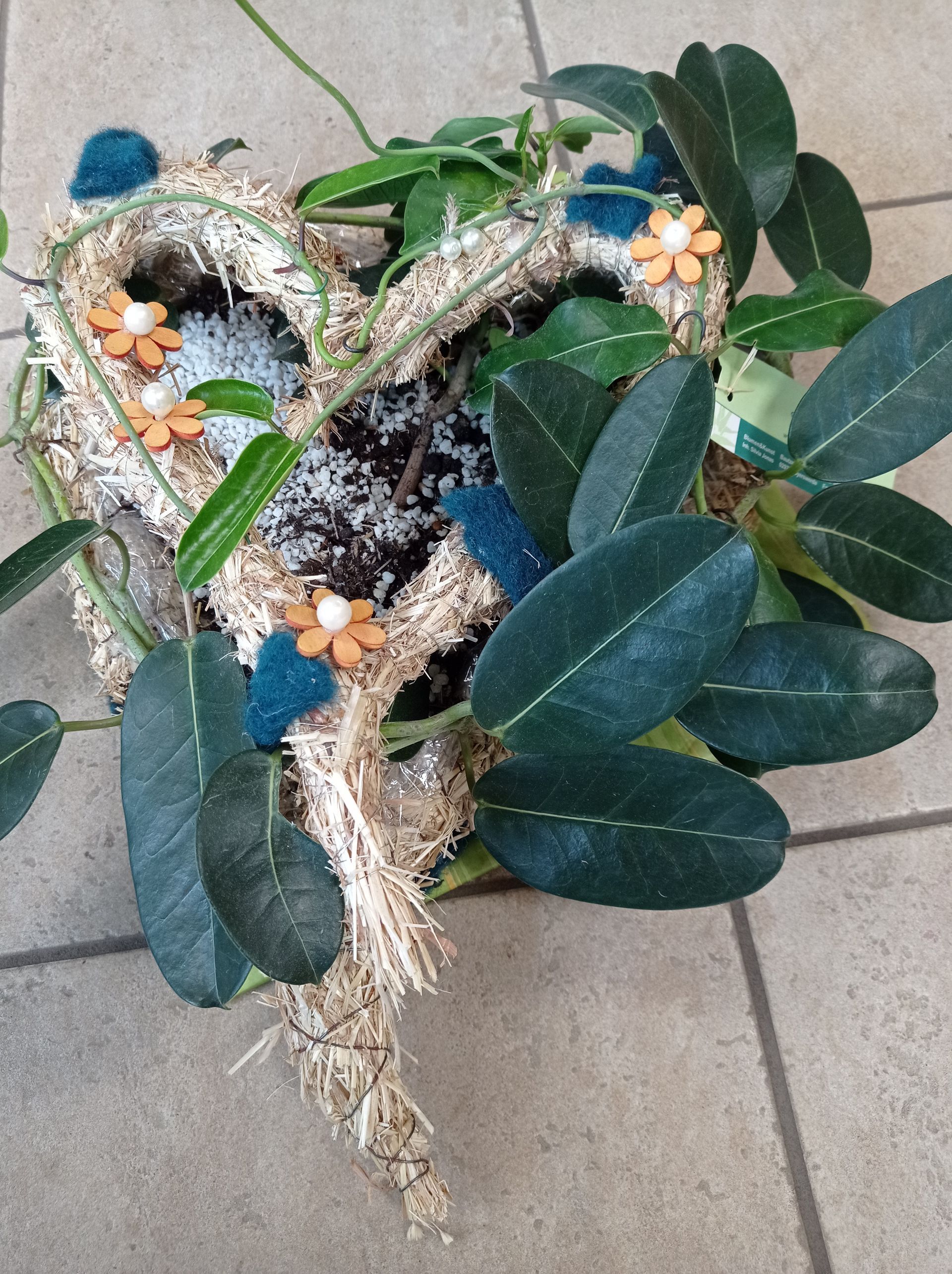 Herzförmiger Übertopf mit dunkelgrünen Blättern, verziert mit blauen und orangefarbenen Akzenten.