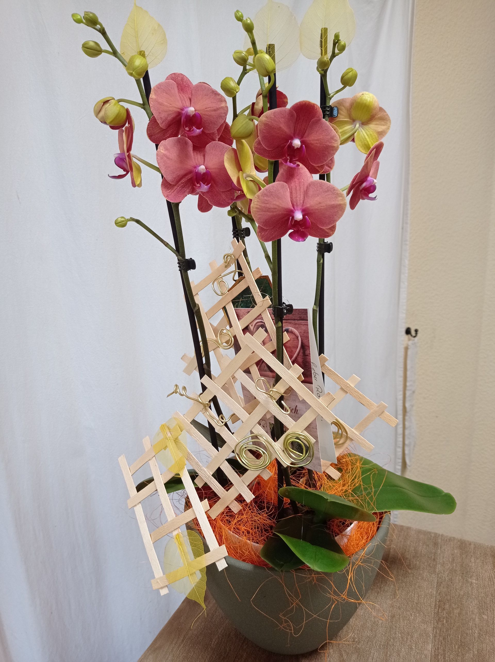 Rosa und gelbe Orchideen in einem grünen Topf mit einem hölzernen Spalierakzent auf einem Tisch.