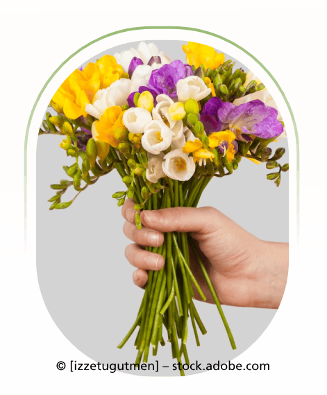 Eine Hand hält einen Strauß gelber, weißer und violetter Freesien.