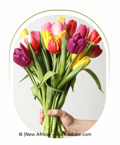 Eine Hand hält einen bunten Strauß Tulpen: rote, gelbe, rosa und violette Blüten.