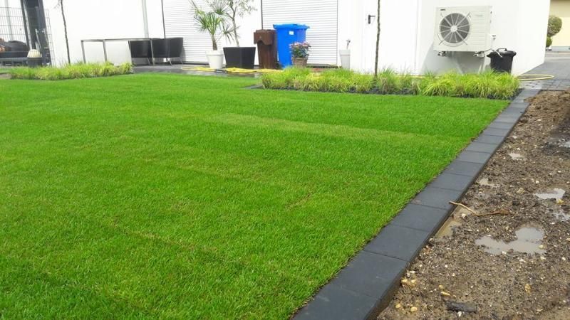 Schöne Rasenfläche