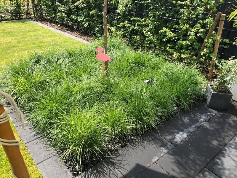 Kleine grüne Gartengestaltung