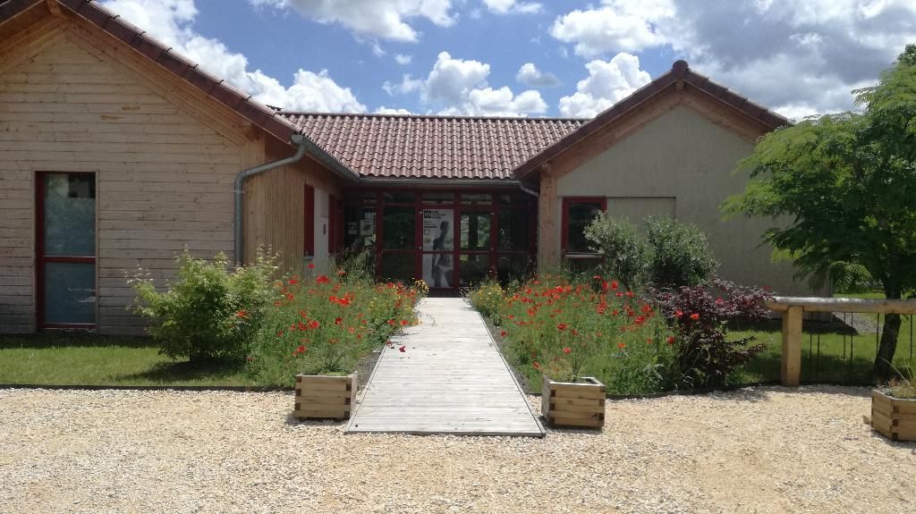 Création d'une entrée de maison avec une allée en bois bordée de fleurs rouges.