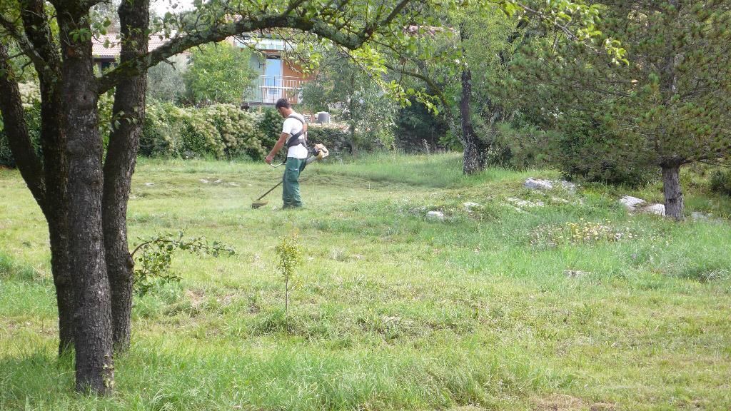Un jardinier s'occupant de la maintenance des espaces verts dans une cour en utilisant une débroussailleuse.