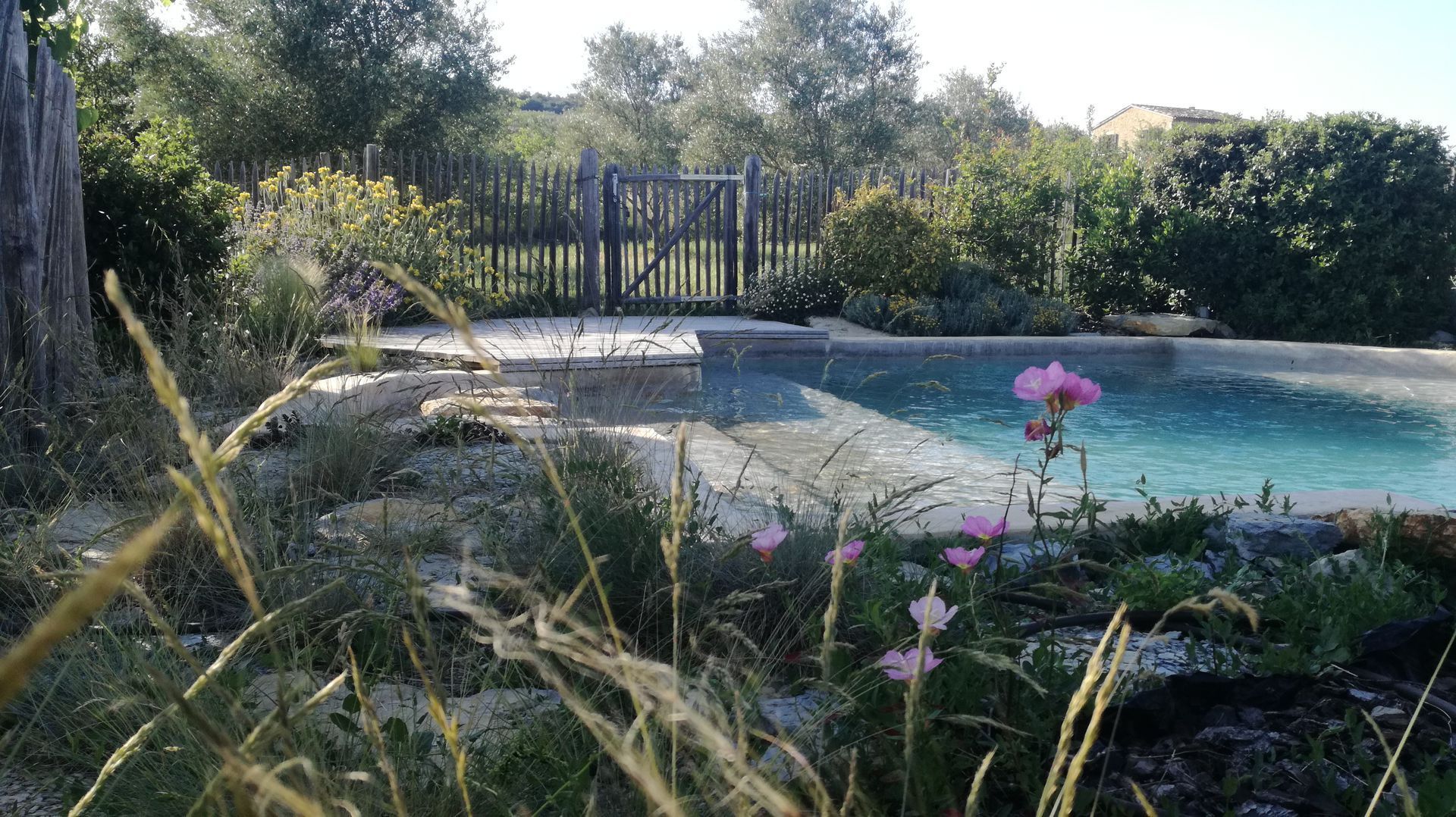 Piscine avec jardin, portail et fleurs sauvages roses devant.