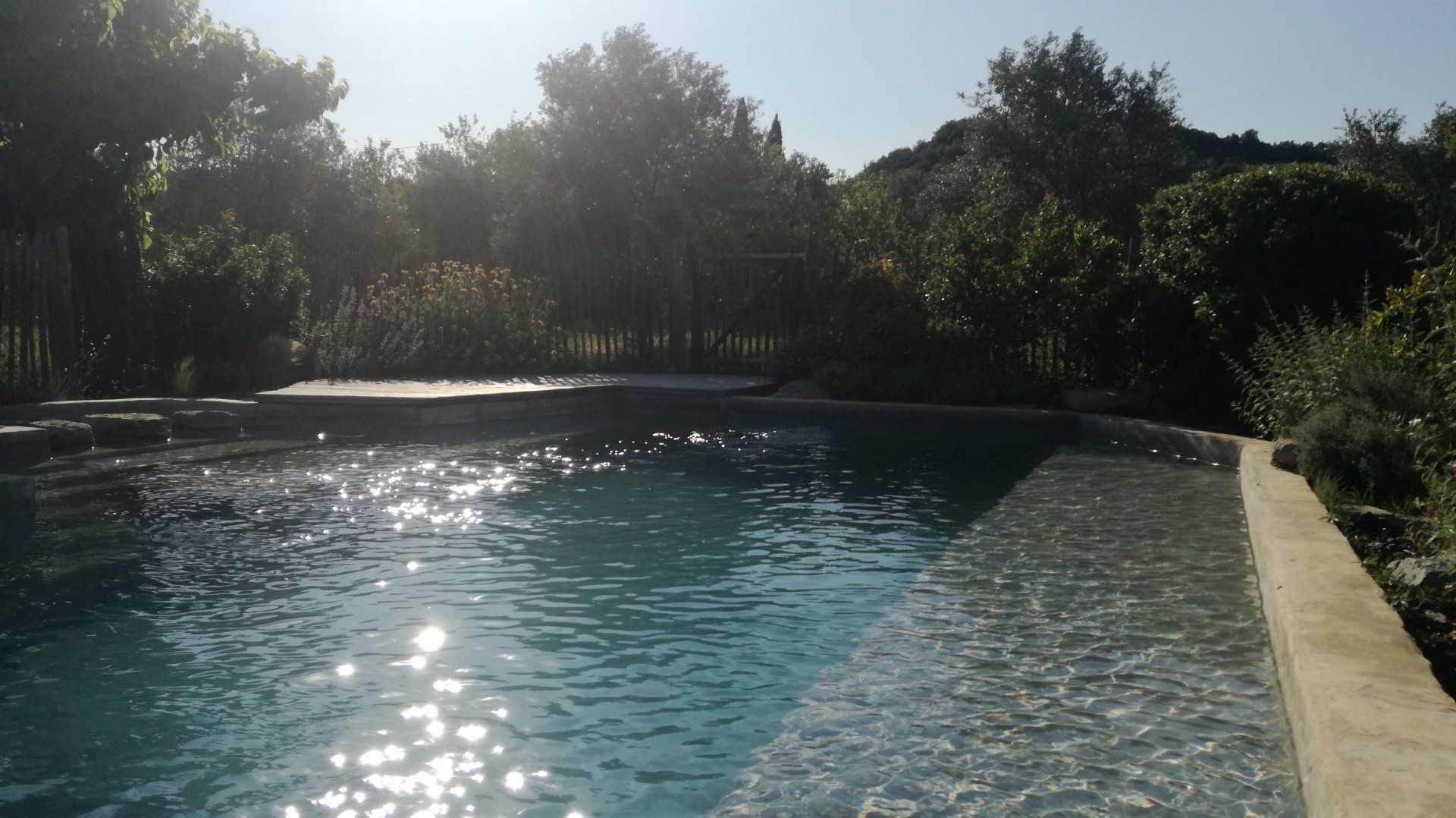 Une piscine renvoie la lumière solaire, avec des arbres se dressant en arrière-plan.