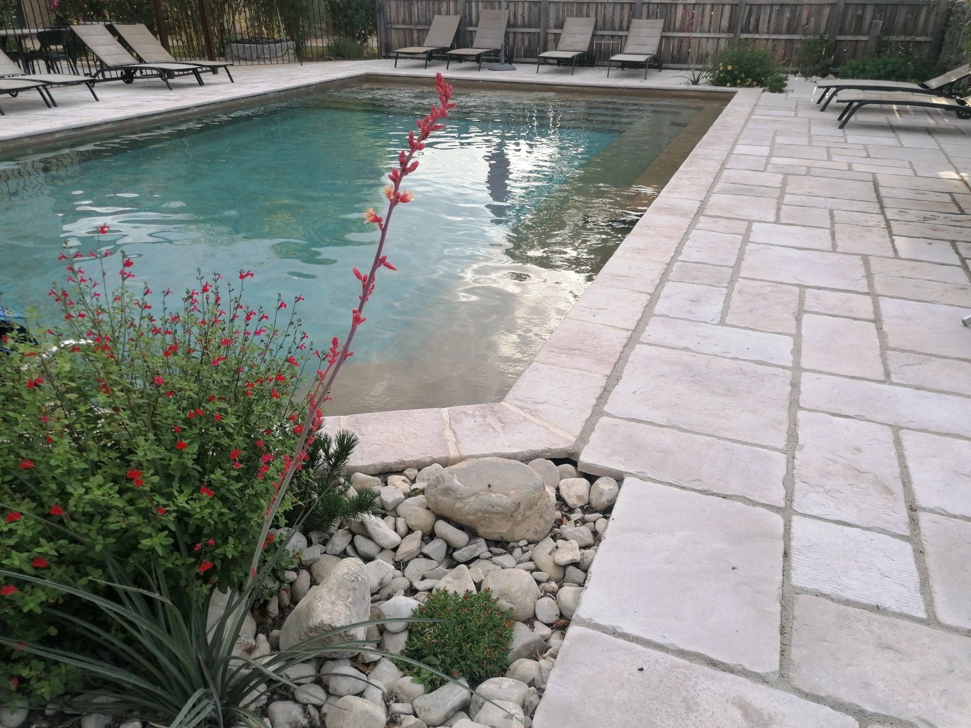 Piscine avec patio en pierre et aménagement paysager, comprenant un nageur, des chaises longues et une plante fleurie.