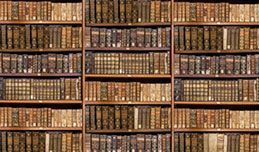 Bücherregal