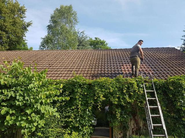 Toiture avant nettoyage