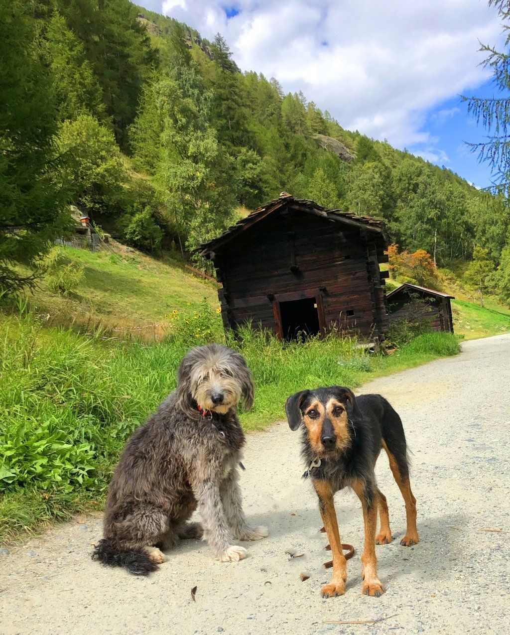 Chneuk.CH