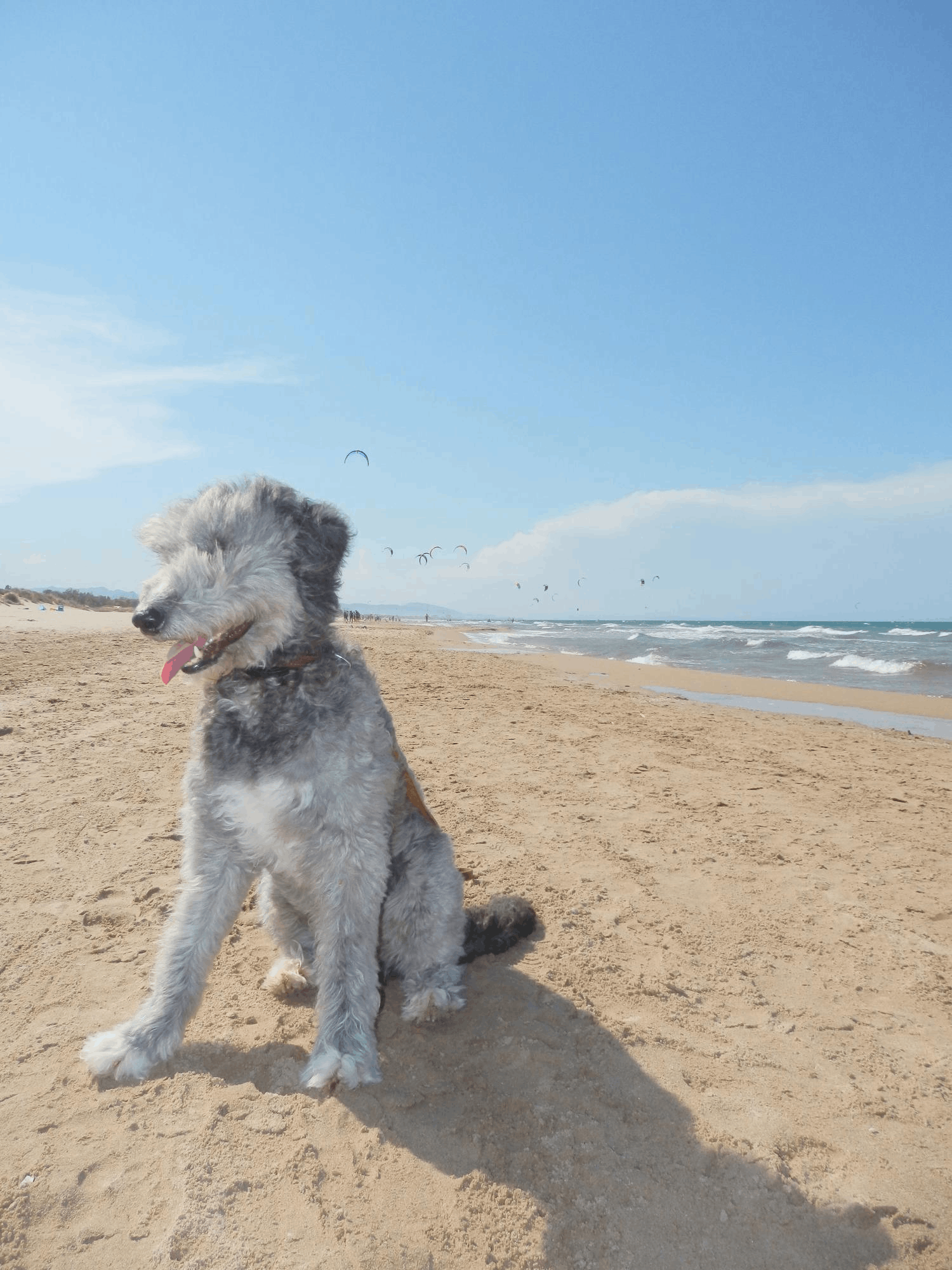 Chneuk.CH
