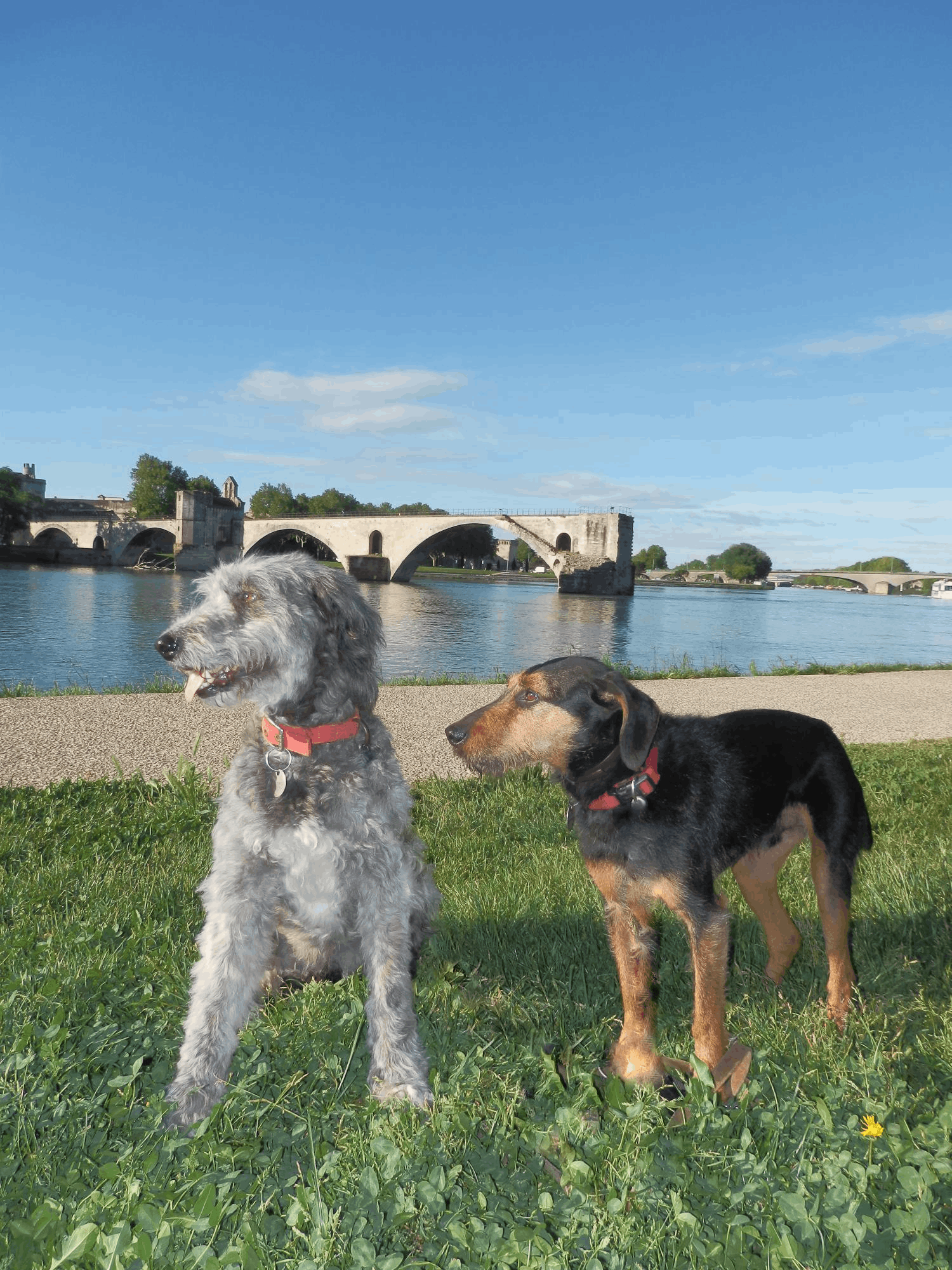 Chneuk.CH