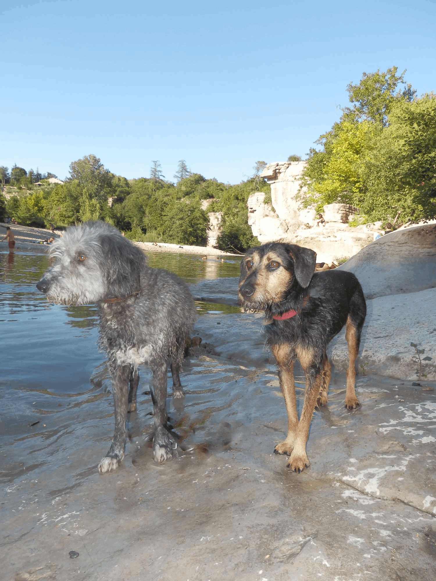 Chneuk.CH