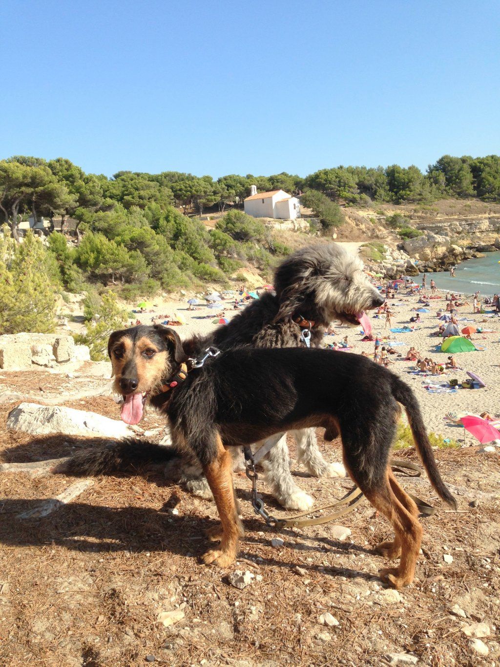 Chneuk.CH