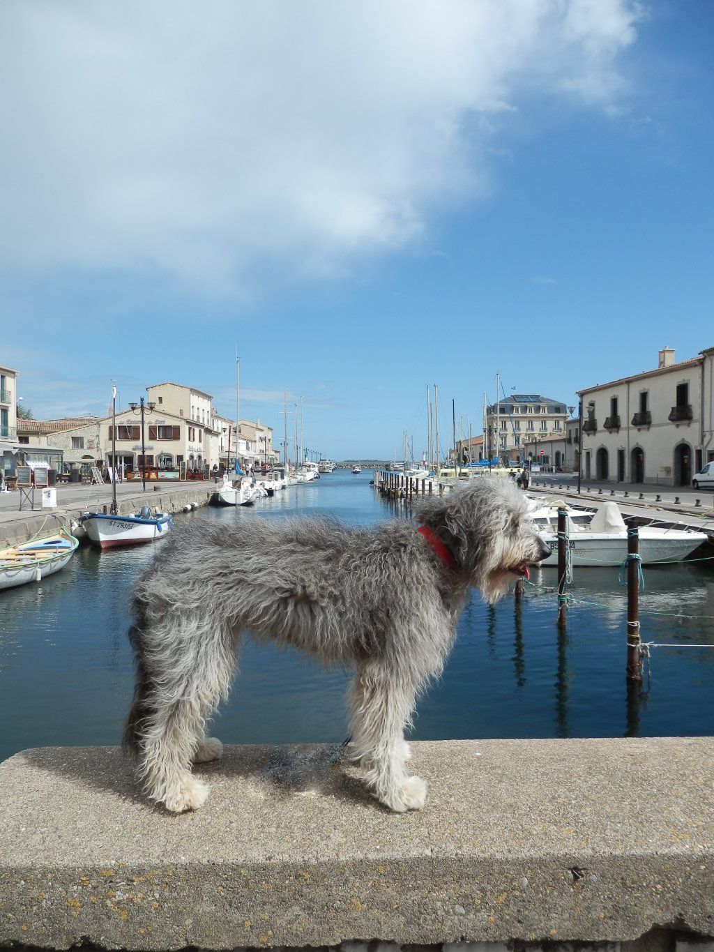 Chneuk.CH