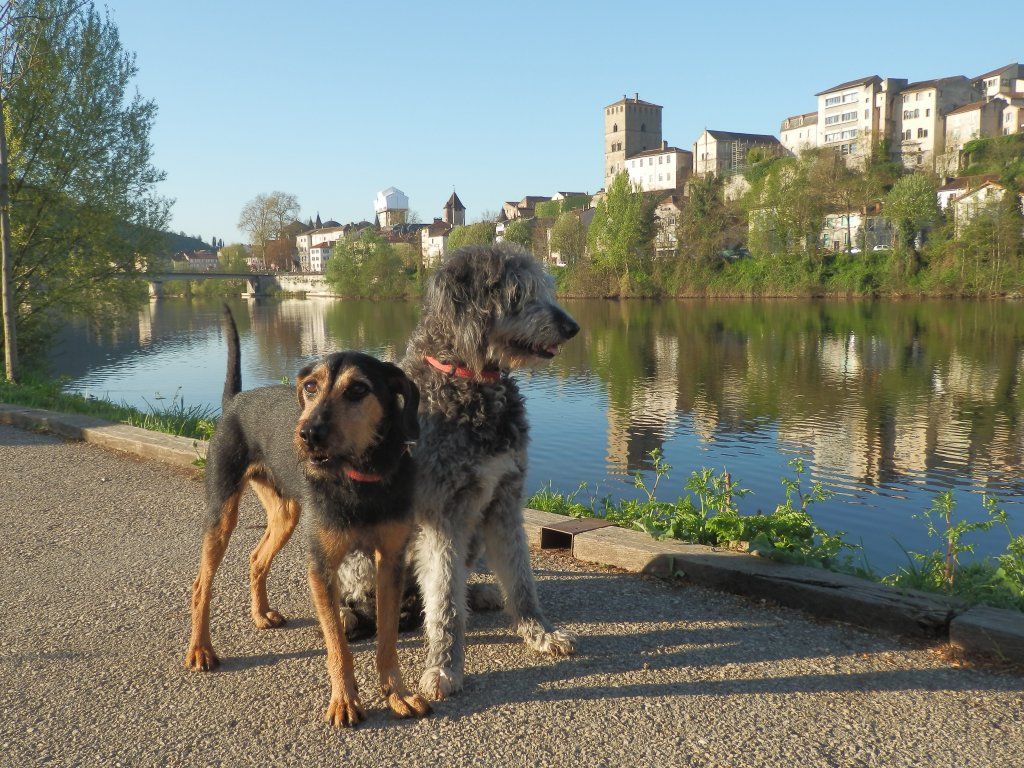 Chneuk.CH