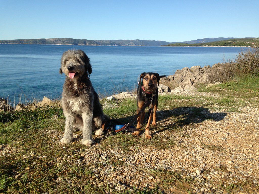Chneuk.CH
