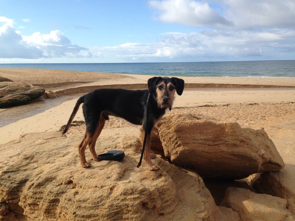 Chneuk.CH