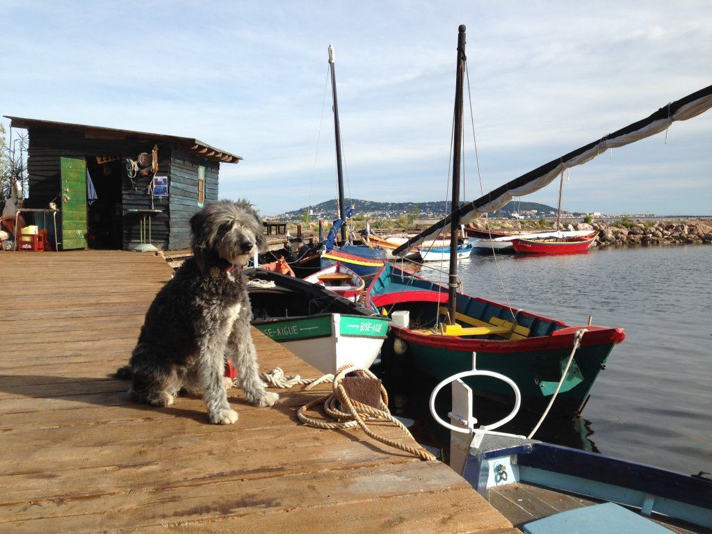 Chneuk.CH