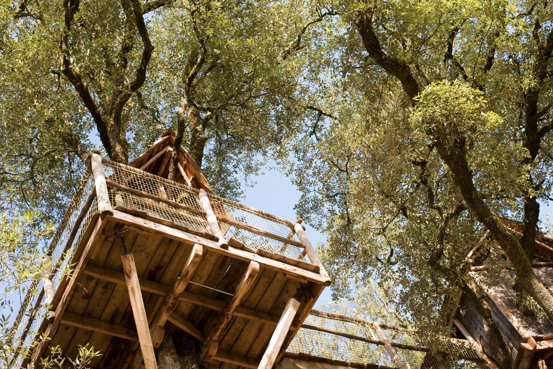 Des cabanes perchées en bois parmi de grands arbres sous un ciel d'un bleu éclatant.