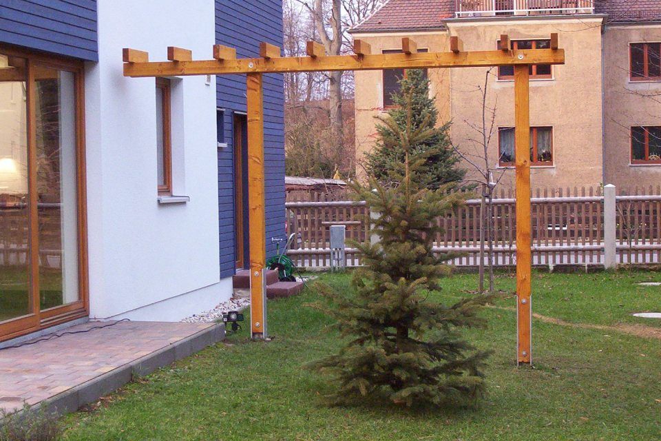 Pergola und Nadelbaum