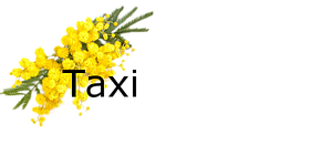 Logo Taxi Charle