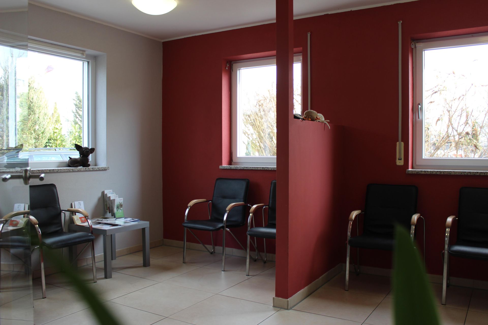 Das Wartezimmer bei der tierärztlichen Praxis Dr. Christian Danzl