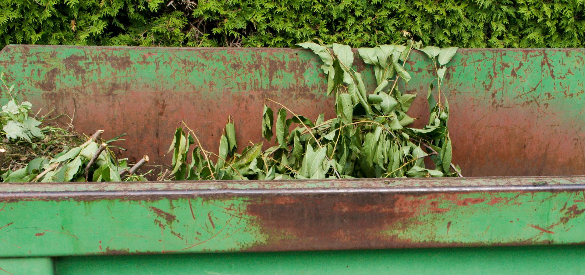 Branches et pelouse tondue dans une benne