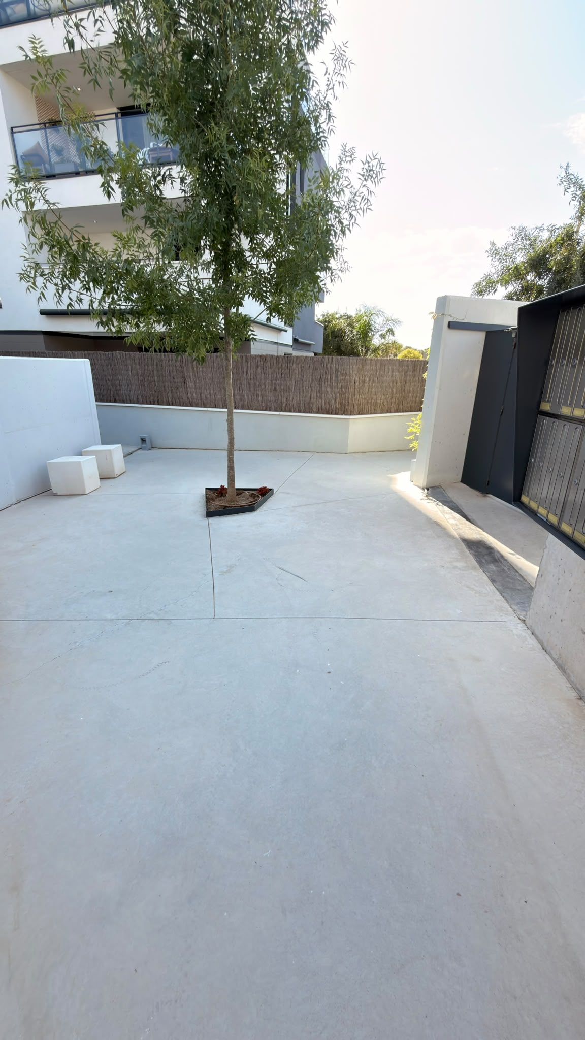 Patio minimalista con suelo de hormigón blanco, un árbol joven y una puerta oscura junto a un edificio.