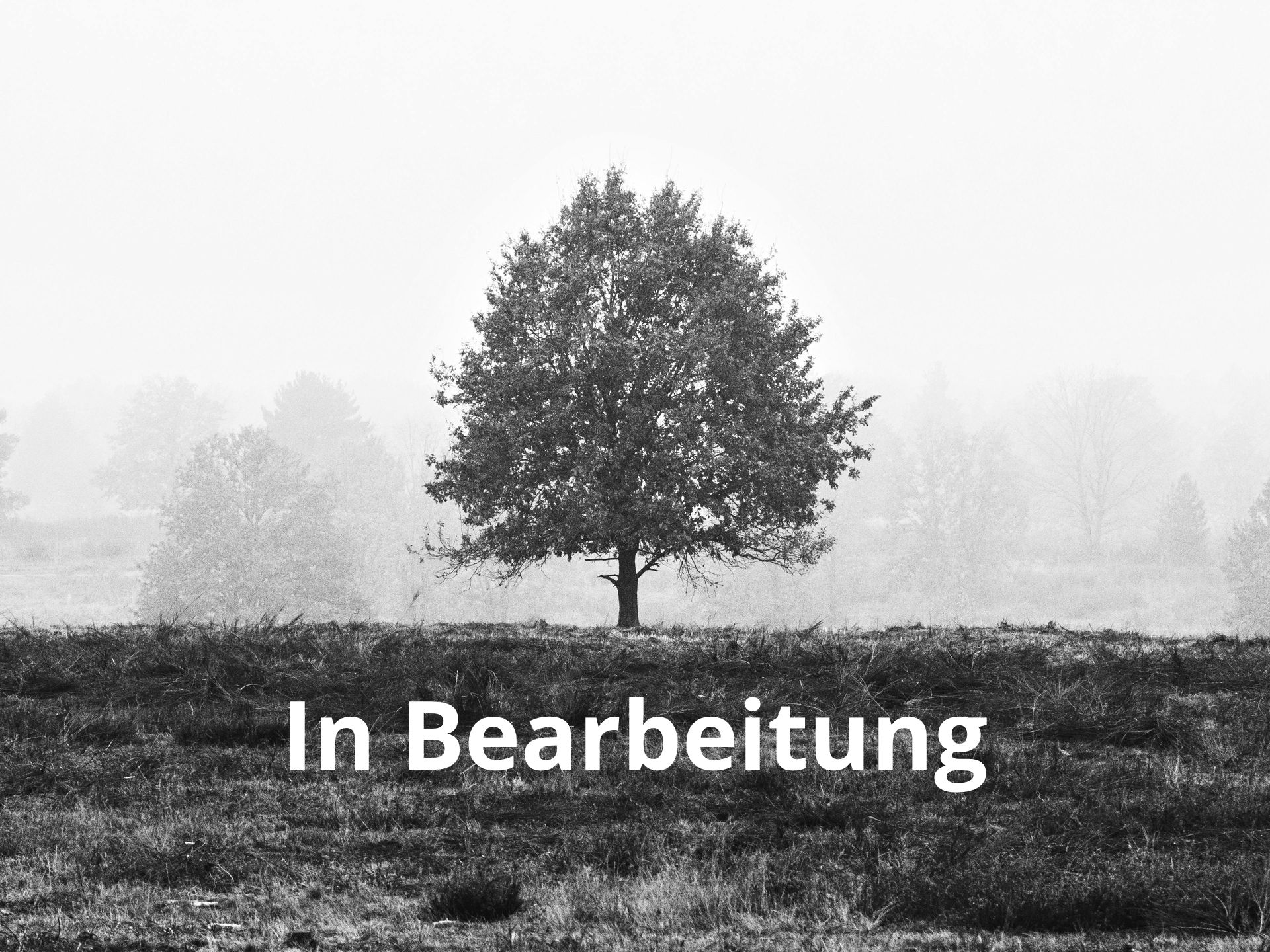 In Bearbeitung
