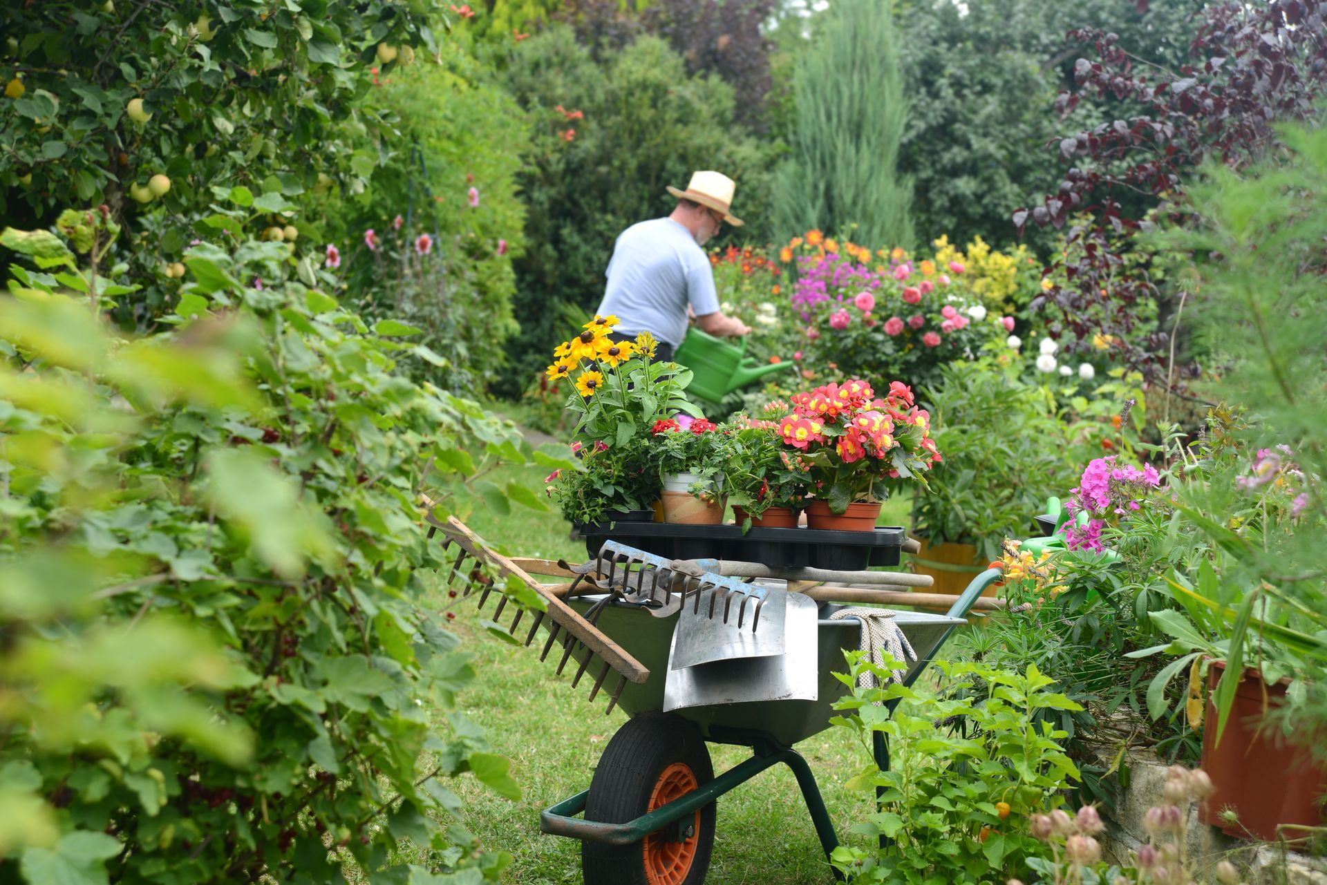 Une brouette avec des fleurs et des outils de jardin.