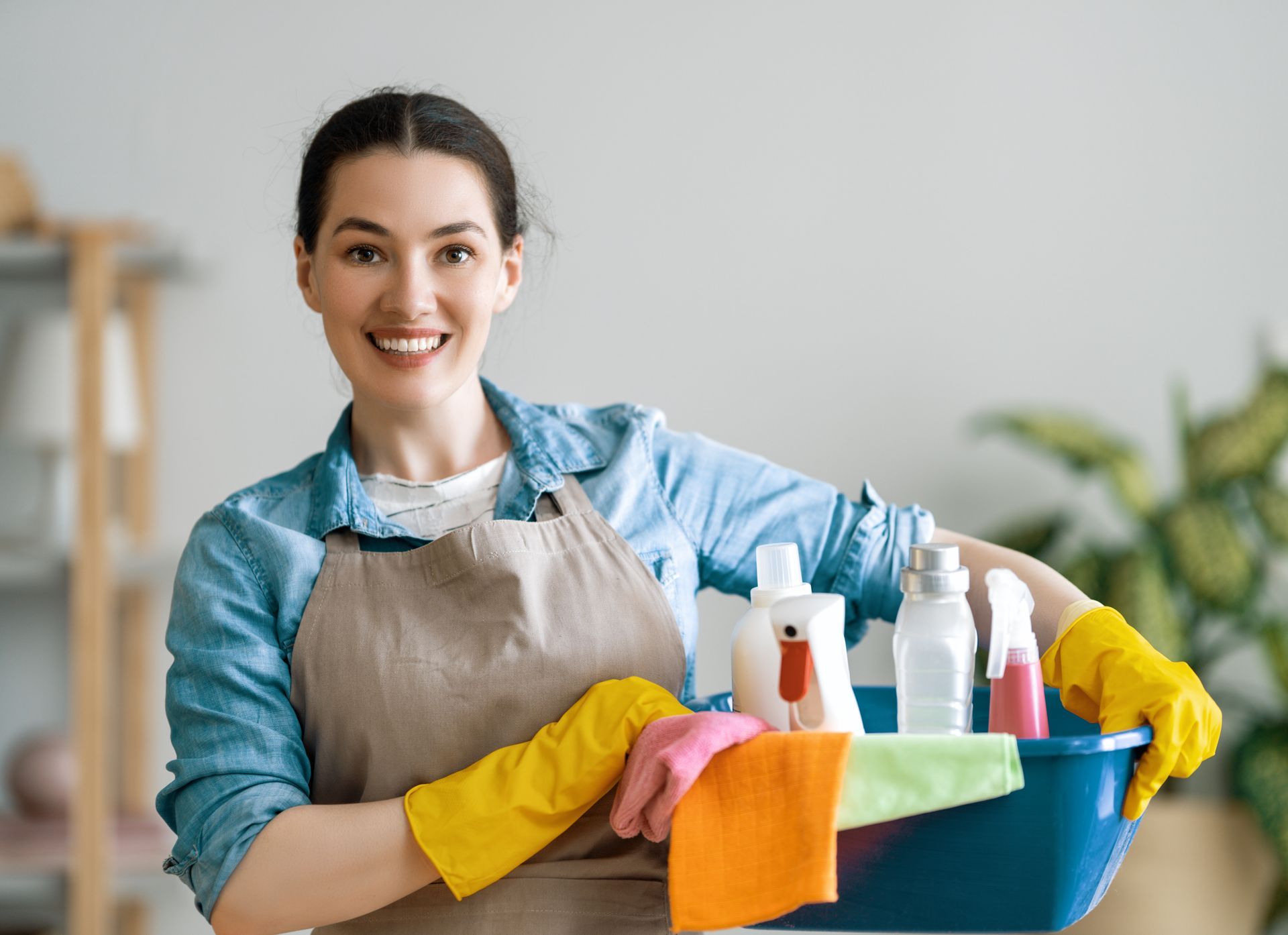 Une jeune femme avec les produits d'entretien.