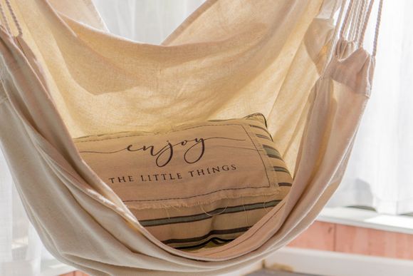 Beige fabric hammock holding a cardboard box labeled &ldquo;The Little Curios&rdquo; in a bright room
