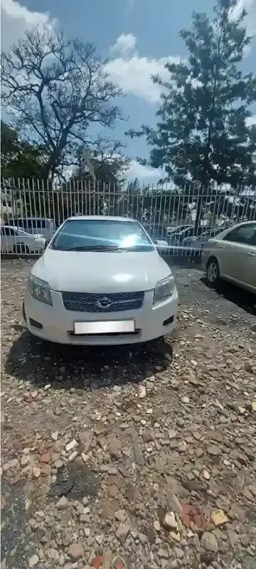 Station Wagon