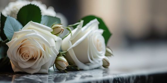 Gros plan sur des roses blanches posées sur du marbre