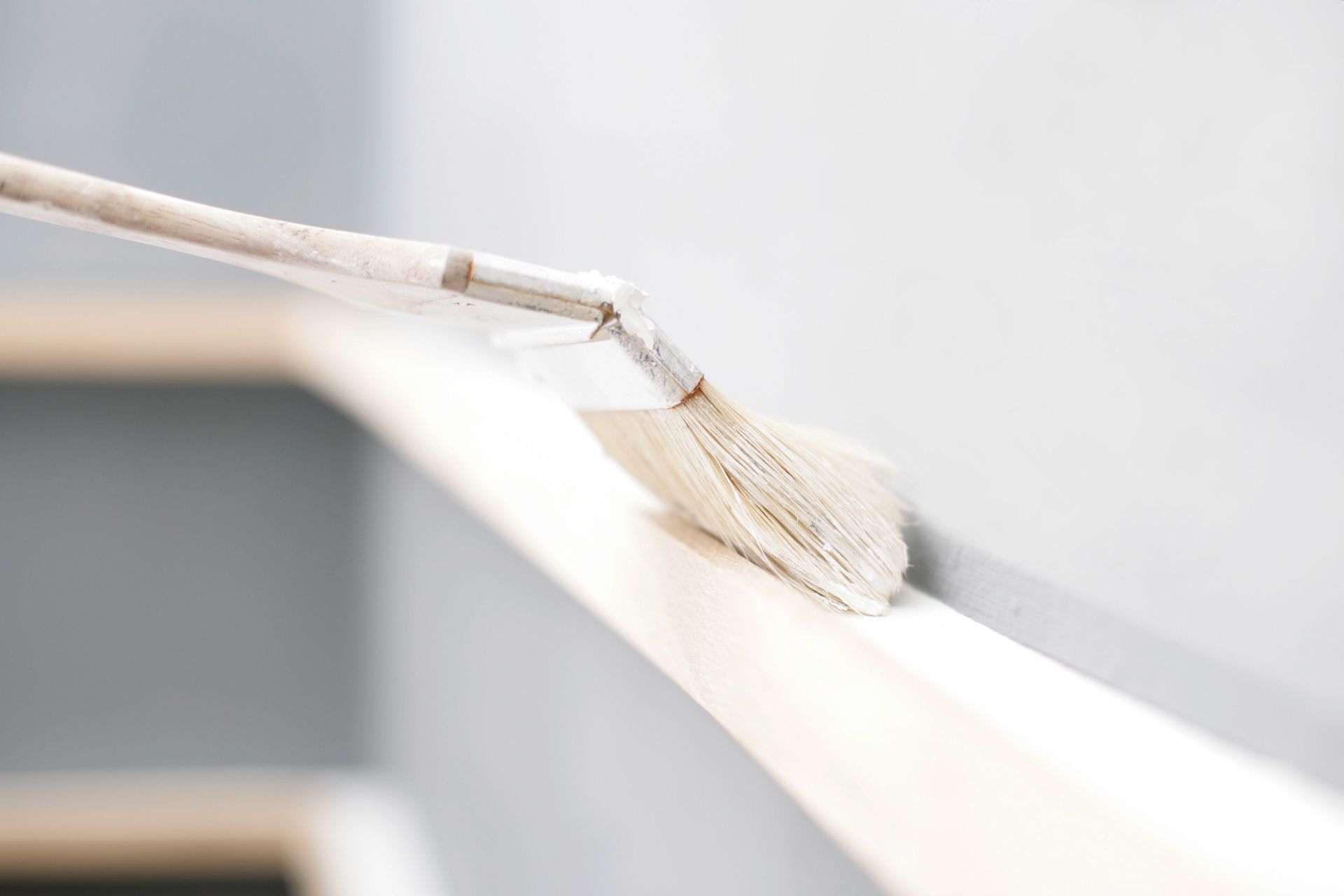 malergeschäft - berni colors - affoltern am albis