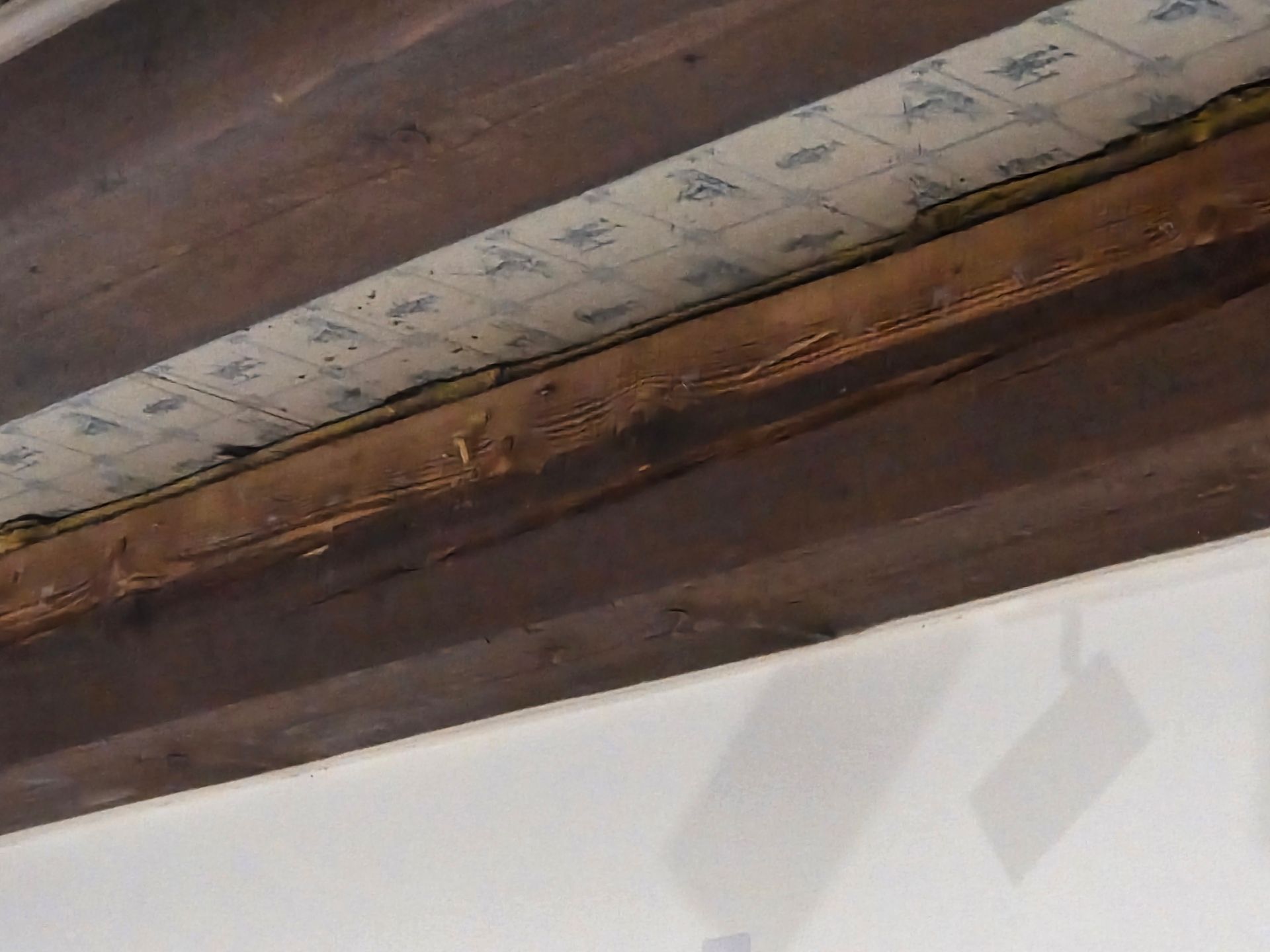 Holzbalken an der Decke mit darüberliegender Dämmung und darunterliegender weißer Wand.