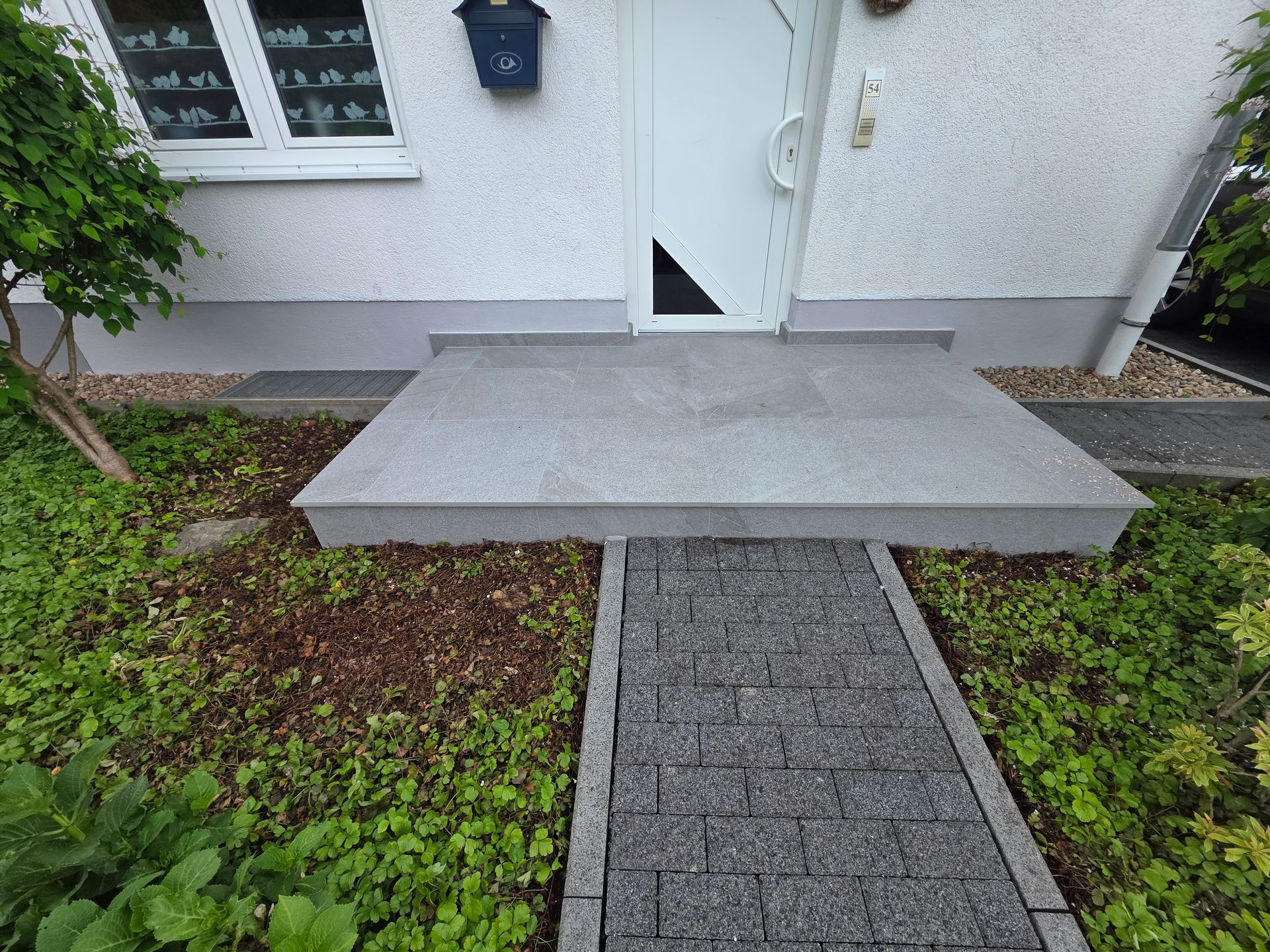 Eine Betonstufe und ein schmaler Steinweg führen zu einer Haustür, beidseitig gesäumt von Grün.