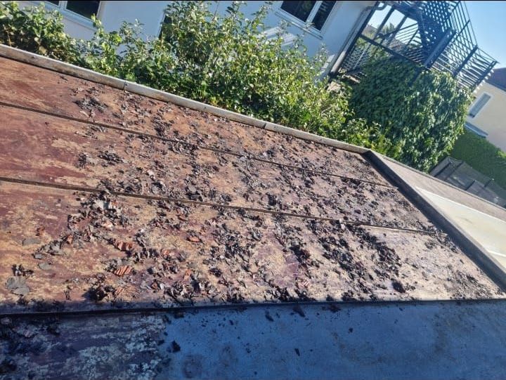 Verwittertes, schmutziges Metalldach mit Schutt. Im Hintergrund sind grüne Büsche und ein Gebäude zu sehen.