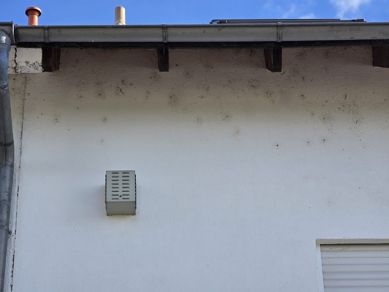 Weiße Gebäudefassade mit Dachrinne, Lüftungsöffnungen und sichtbaren Holzbalken.
