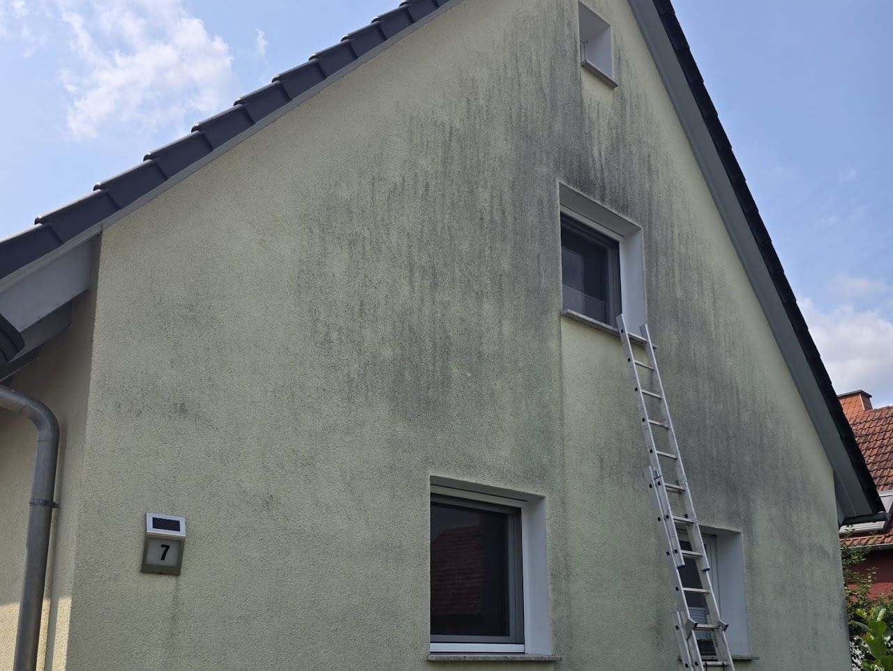Ein Haus mit dunkler, schimmeliger Fassade, eine daran gelehnte Leiter und ein klarer Himmel.