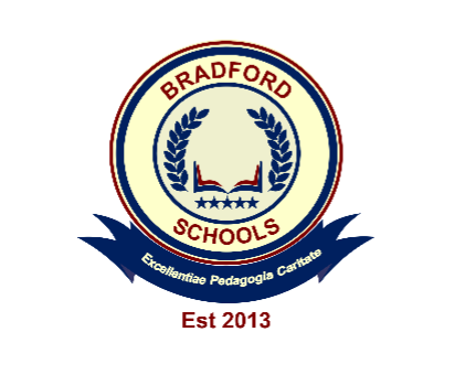 The bradford schools logo was created in 2013